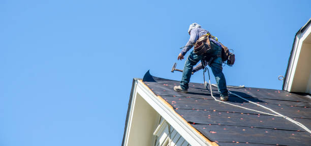 Best Roof Gutter Cleaning  in Fort Dick, CA